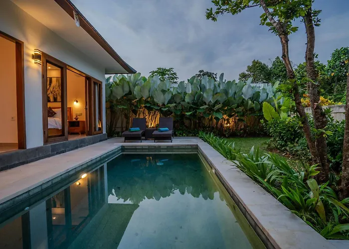 Arca Jungle View Luxury *