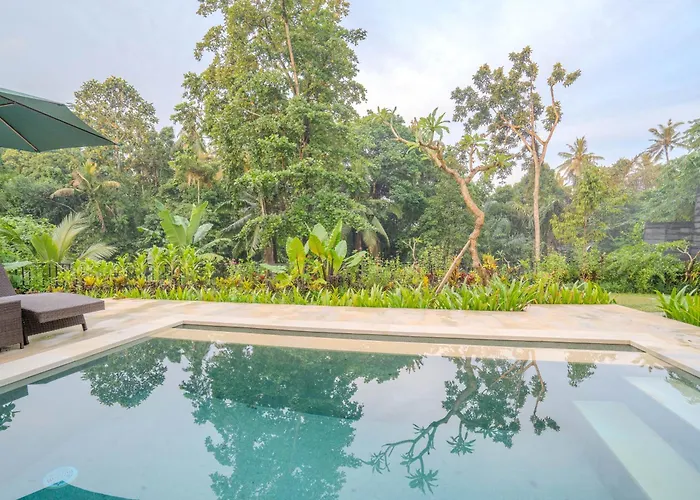 Arca Jungle View Luxury