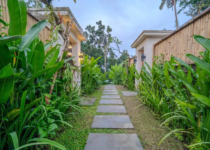Arca Jungle View Luxury